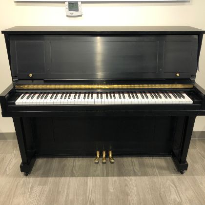 /pianos/used-inventory/531182-steinway-1098