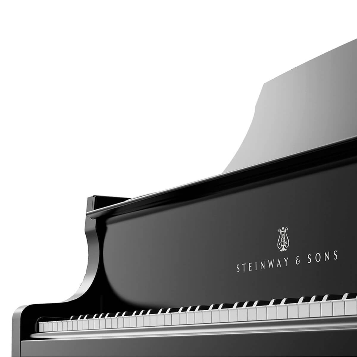 Black Steinway piano closeup